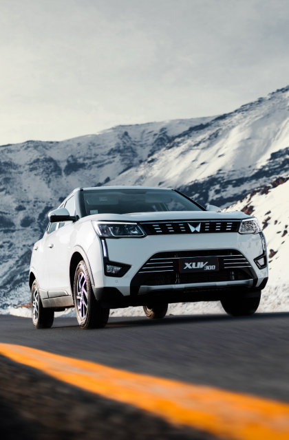 XUV 300