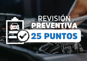Aprovecha nuestra revisión gratuita de 25 puntos