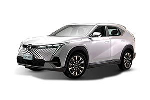 EMKOO GL 1.5 AT 2WD
