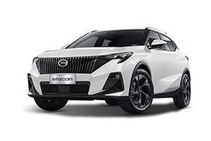 EMZOOM GS + 1.5 AT 2WD